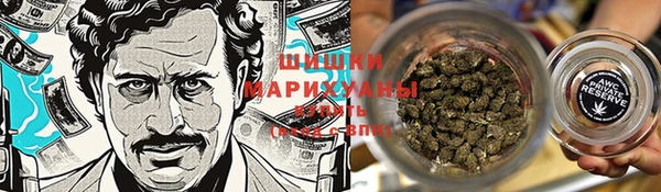 гашик Богородицк
