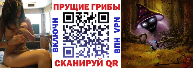 Псилоцибиновые грибы MAGIC MUSHROOMS как найти закладки kraken ONION Медвежьегорск
